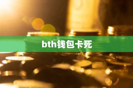 bth钱包卡死