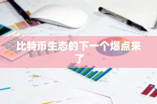 比特币生态的下一个爆点来了