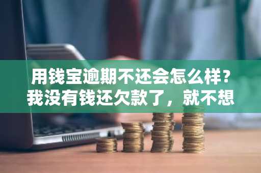 用钱宝逾期不还会怎么样？我没有钱还欠款了，就不想还了。