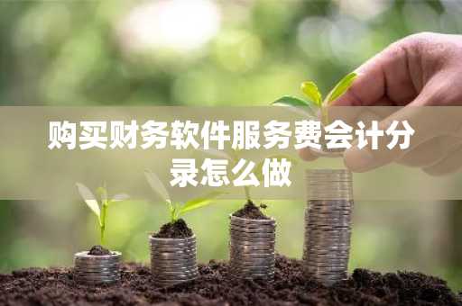 购买财务软件服务费会计分录怎么做