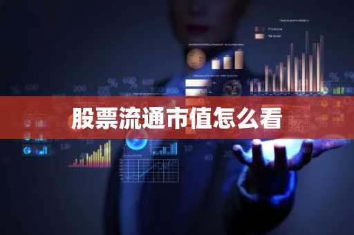 股票流通市值怎么看