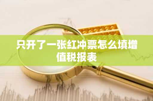 只开了一张红冲票怎么填增值税报表