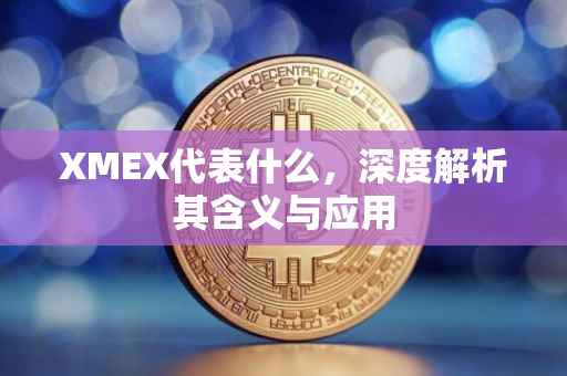 XMEX代表什么，深度解析其含义与应用