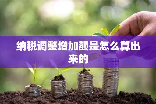 纳税调整增加额是怎么算出来的