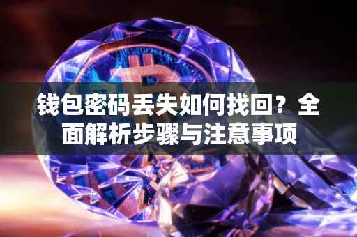 钱包密码丢失如何找回？全面解析步骤与注意事项