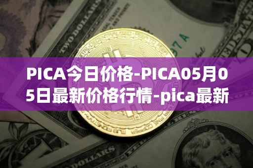 PICA今日价格-PICA05月05日最新价格行情-pica最新走势消息