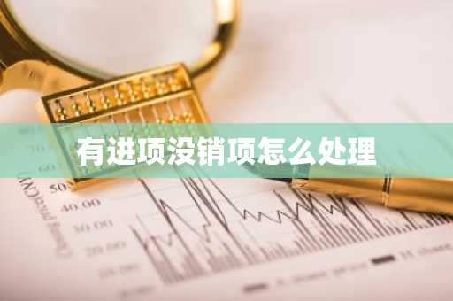 有进项没销项怎么处理