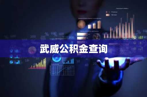 武威公积金查询
