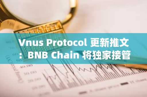 Vnus Protocol 更新推文：BNB Chain 将独家接管 BNB Bridg 攻击者仓位