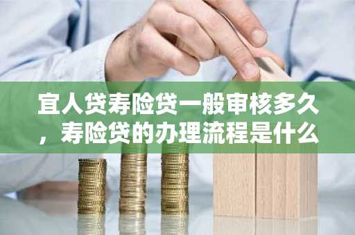宜人贷寿险贷一般审核多久，寿险贷的办理流程是什么？