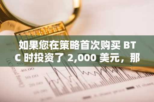 如果您在策略首次购买 BTC 时投资了 2,000 美元，那么这就是您的回报