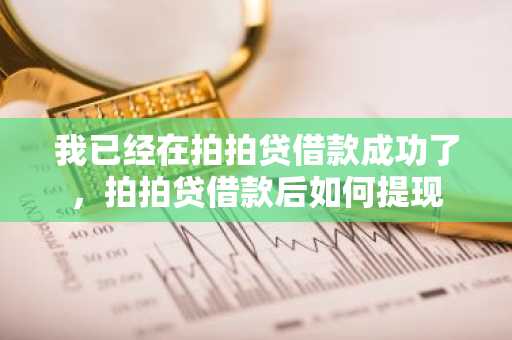 我已经在拍拍贷借款成功了，拍拍贷借款后如何提现