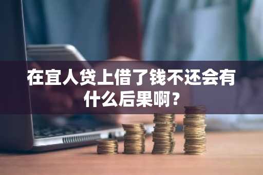 在宜人贷上借了钱不还会有什么后果啊？
