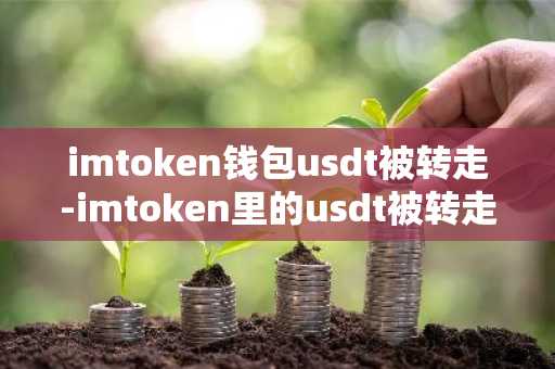 imtoken钱包usdt被转走-imtoken里的usdt被转走了怎么办