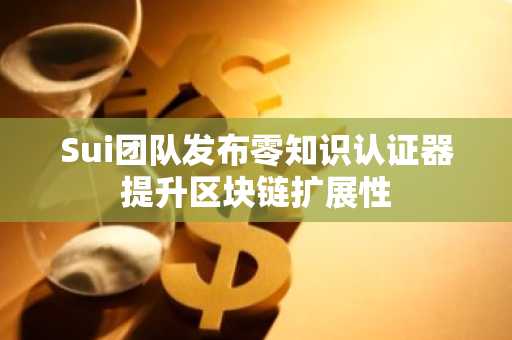 Sui团队发布零知识认证器提升区块链扩展性
