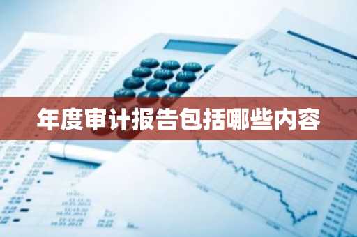 年度审计报告包括哪些内容