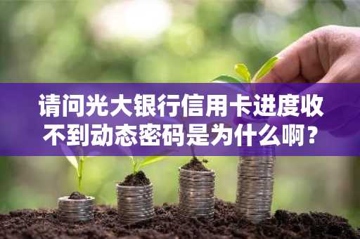 请问光大银行信用卡进度收不到动态密码是为什么啊？