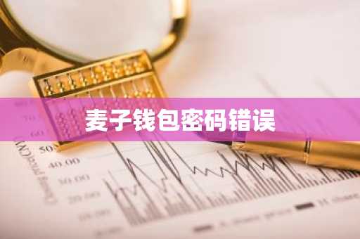 麦子钱包密码错误