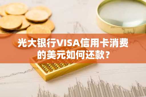 光大银行VISA信用卡消费的美元如何还款？