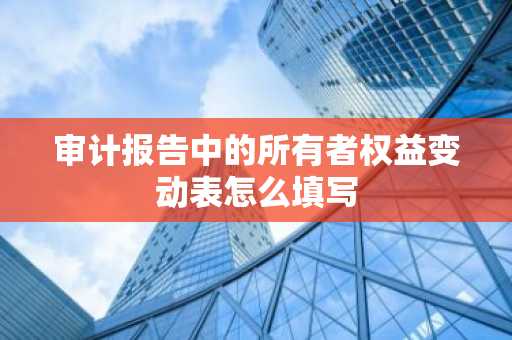 审计报告中的所有者权益变动表怎么填写
