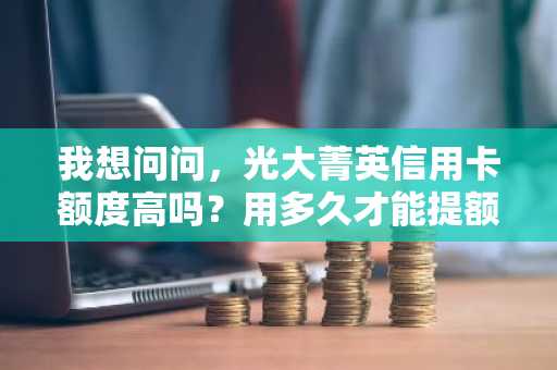 我想问问，光大菁英信用卡额度高吗？用多久才能提额啊？
