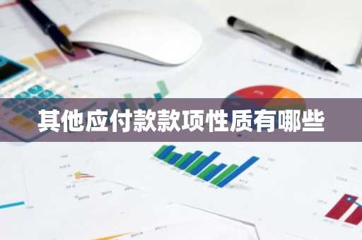 其他应付款款项性质有哪些