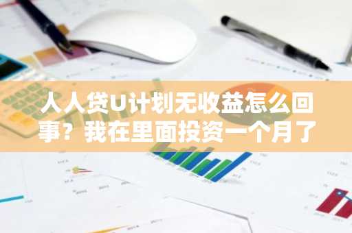 人人贷U计划无收益怎么回事？我在里面投资一个月了没显示收益。