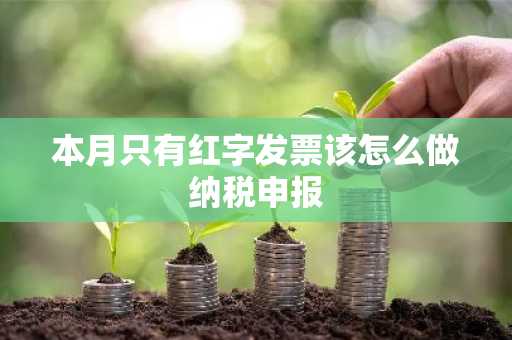 本月只有红字发票该怎么做纳税申报