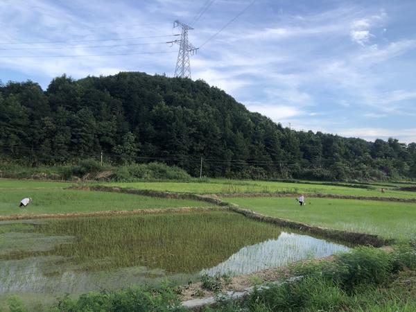 上饶银行“造血式”帮扶，蹚出乡村振兴新路