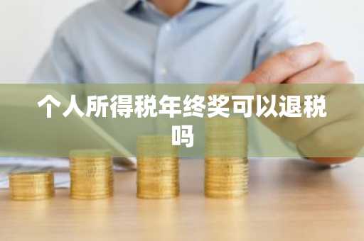 个人所得税年终奖可以退税吗