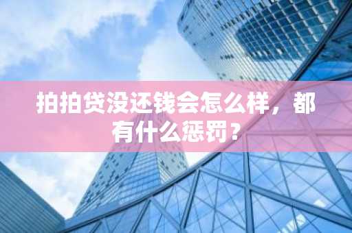 拍拍贷没还钱会怎么样，都有什么惩罚？