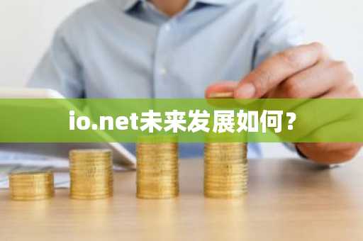 io.net未来发展如何？