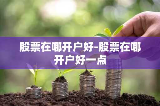 股票在哪开户好-股票在哪开户好一点