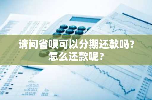 请问省呗可以分期还款吗？怎么还款呢？