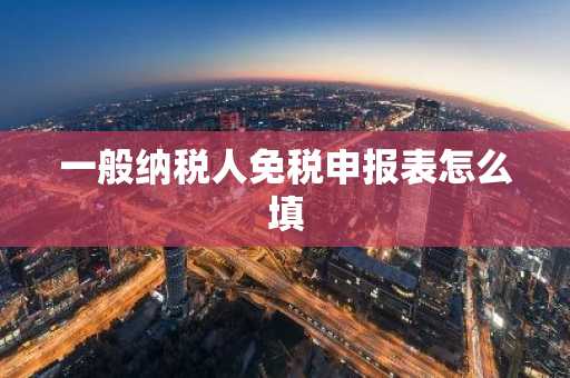 一般纳税人免税申报表怎么填