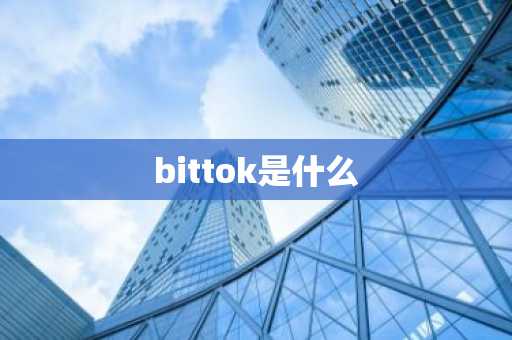 bittok是什么