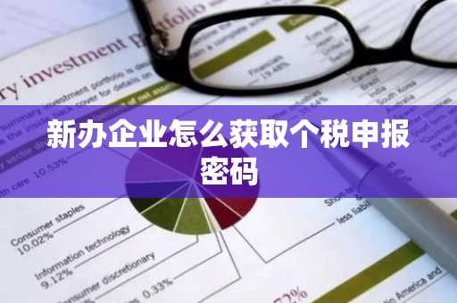 新办企业怎么获取个税申报密码