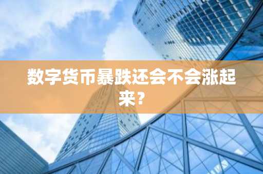 数字货币暴跌还会不会涨起来？