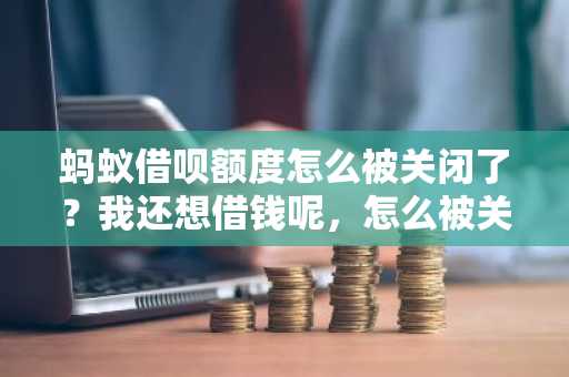 蚂蚁借呗额度怎么被关闭了？我还想借钱呢，怎么被关了。