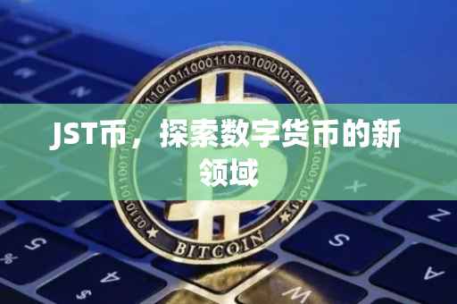 JST币，探索数字货币的新领域