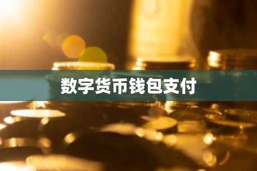 数字货币钱包支付
