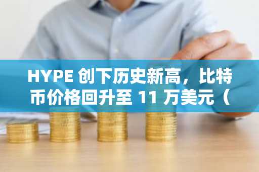 HYPE 创下历史新高，比特币价格回升至 11 万美元（市场观察）