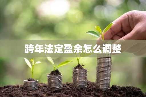跨年法定盈余怎么调整