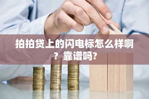 拍拍贷上的闪电标怎么样啊？靠谱吗?