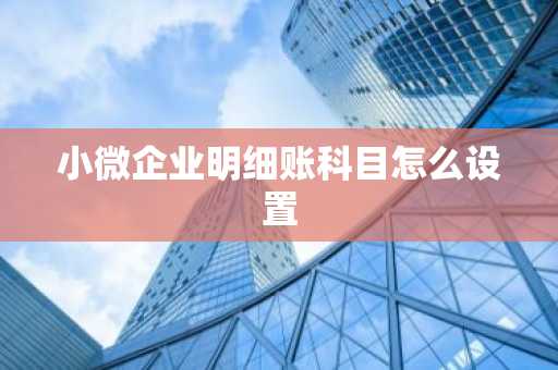 小微企业明细账科目怎么设置
