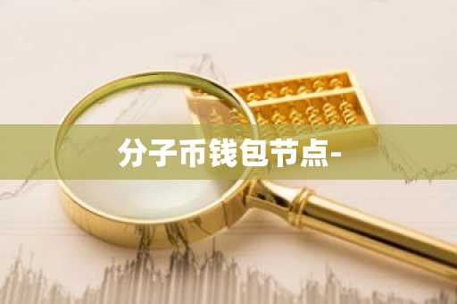 分子币钱包节点-