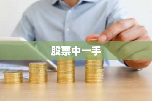 股票中一手
