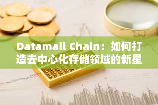 Datamall Chain：如何打造去中心化存储领域的新星