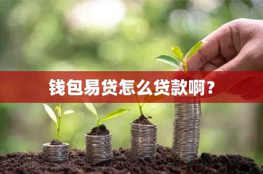 钱包易贷怎么贷款啊？