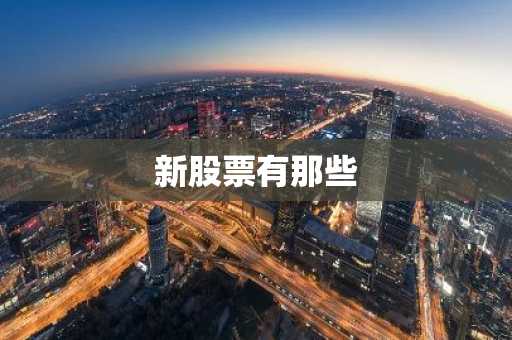 新股票有那些